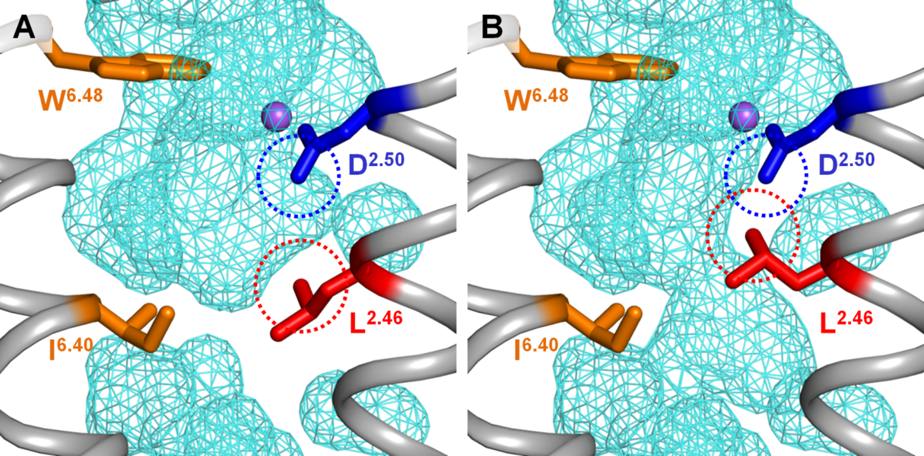 Figure 4.