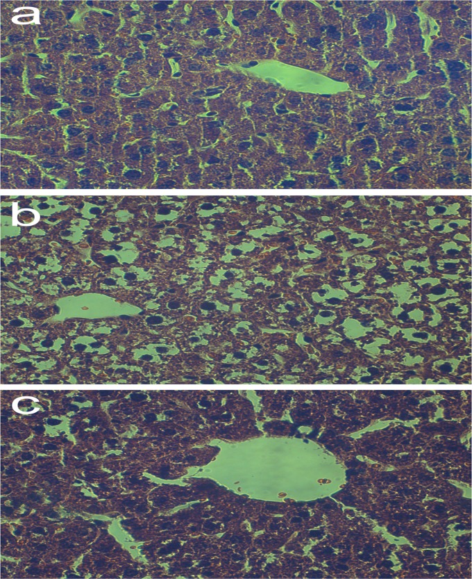 Fig 5