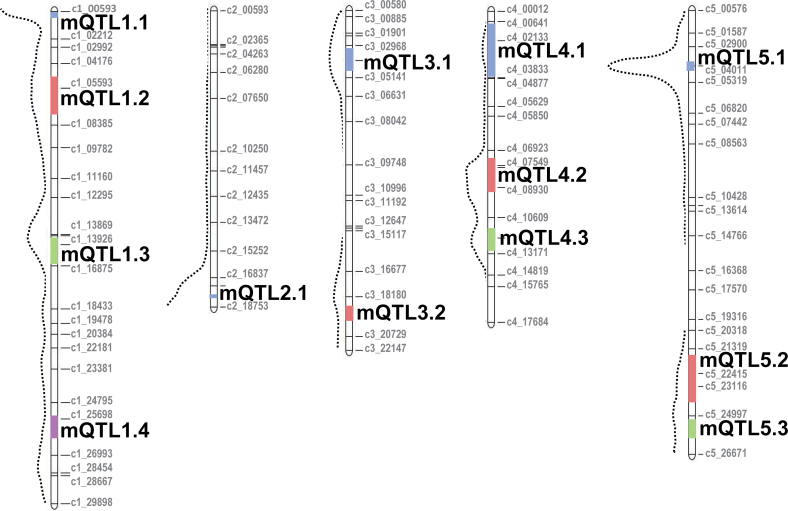 Fig. 3.