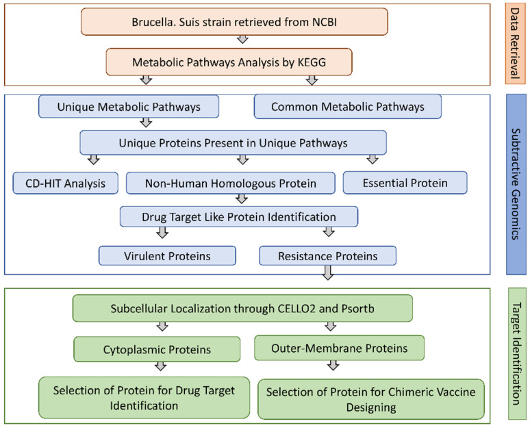 Figure 11