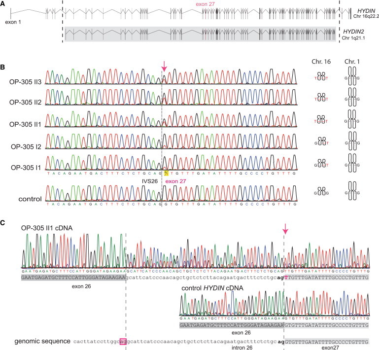 Figure 2