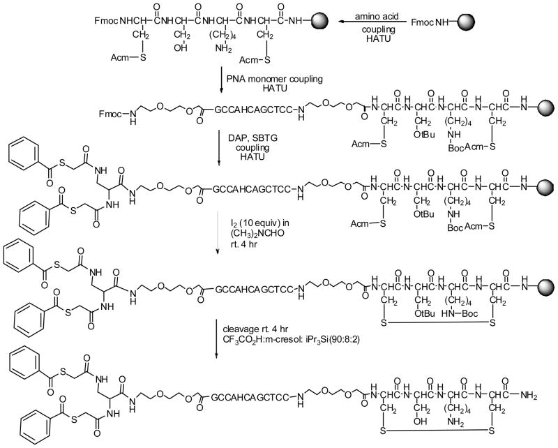 Scheme 2