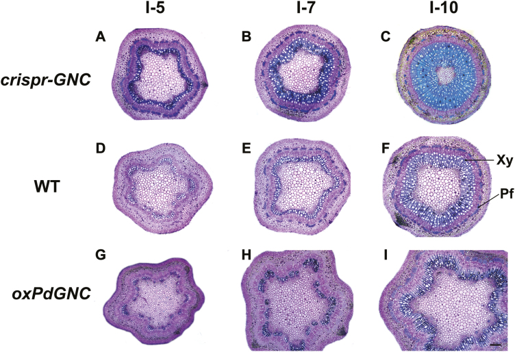 Fig. 6.