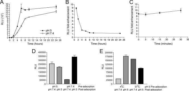 FIG. 2.