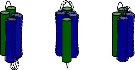 graphic file with name nihms-746291-f0001.jpg