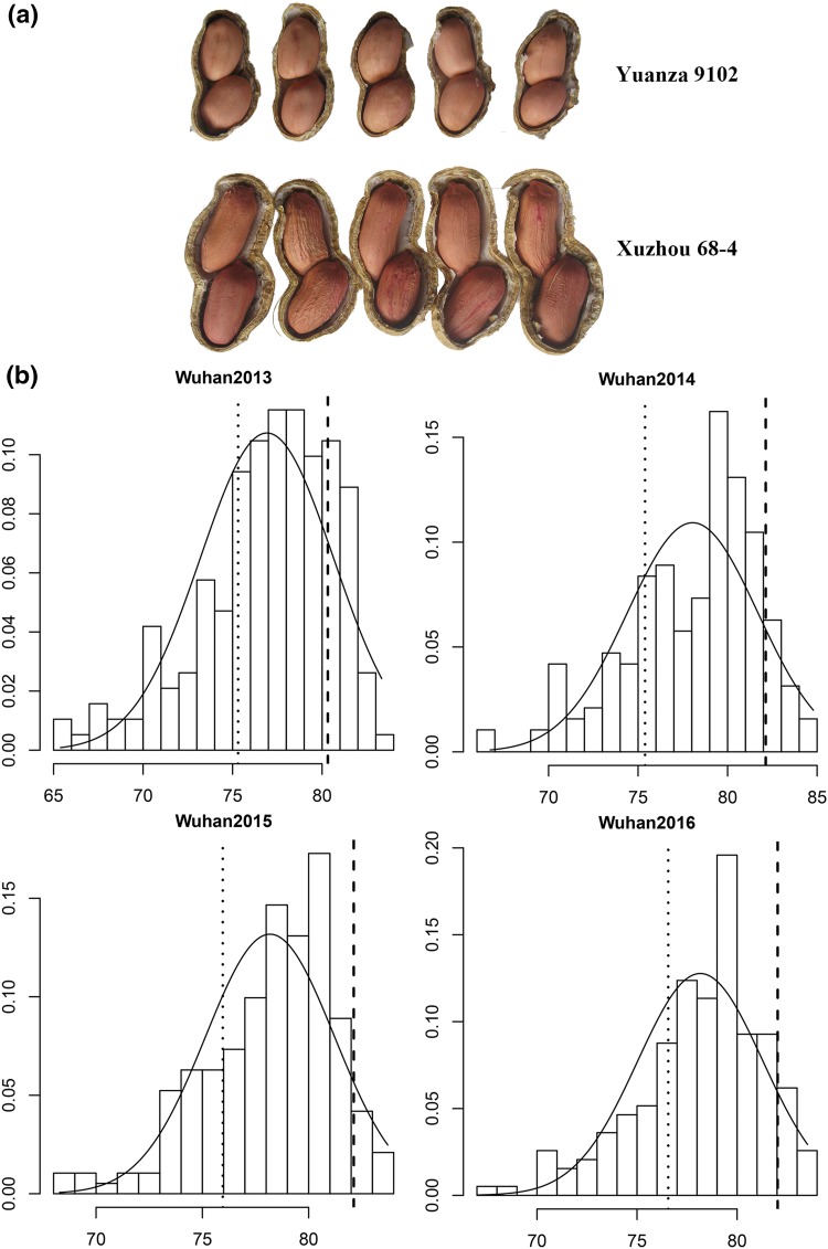 Fig. 1