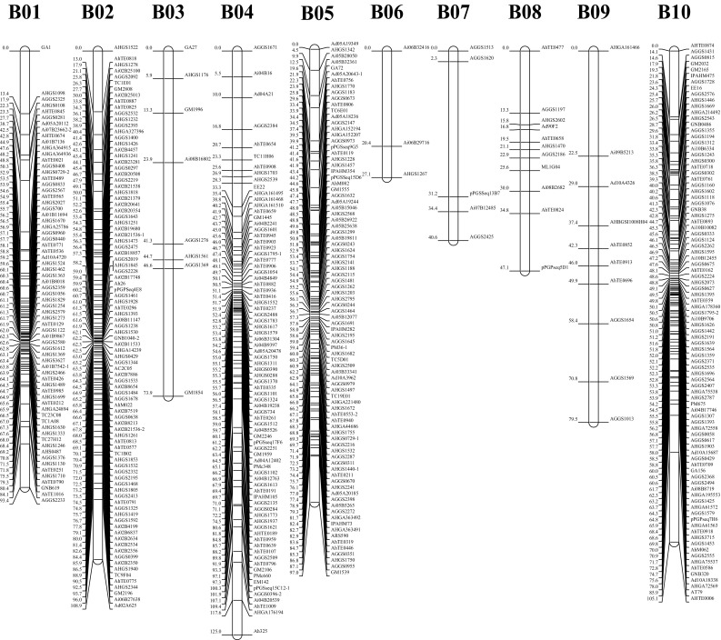 Fig. 2