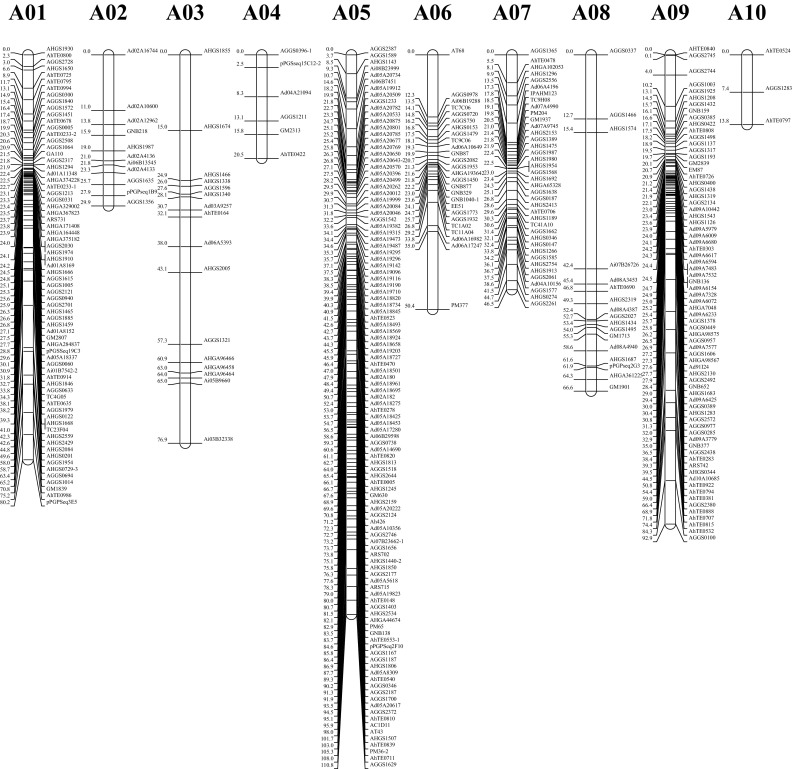 Fig. 2