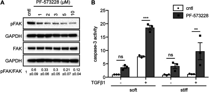 FIGURE 7: