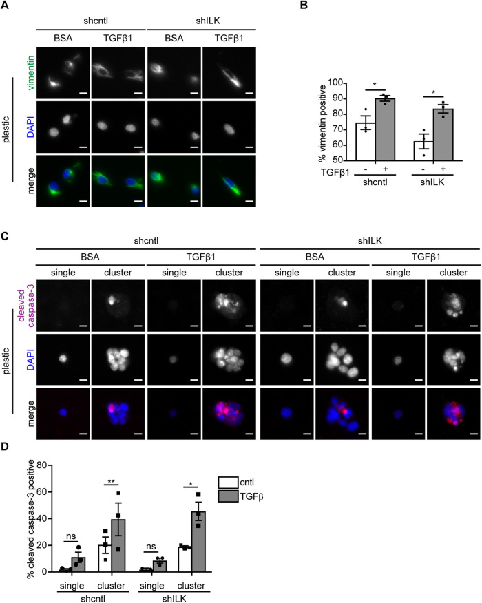 FIGURE 6: