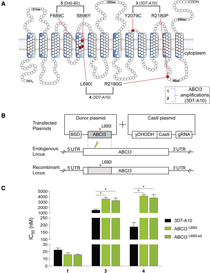 Figure 2