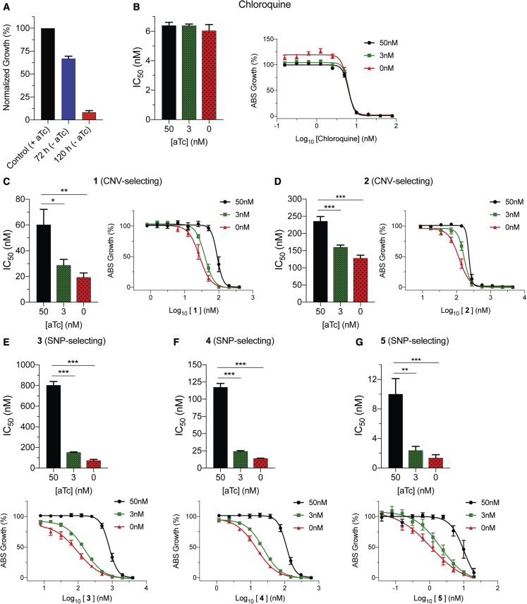 Figure 4