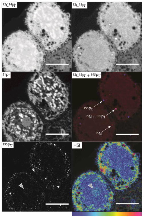 Fig. 2