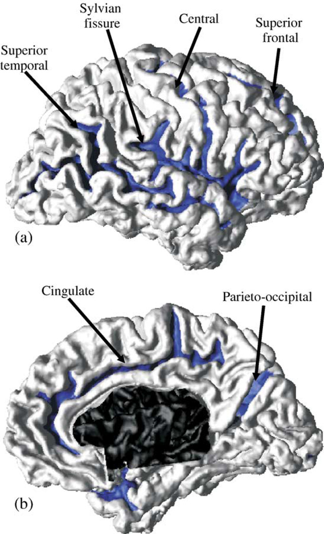 Fig. 8