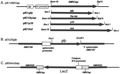 FIG. 1.