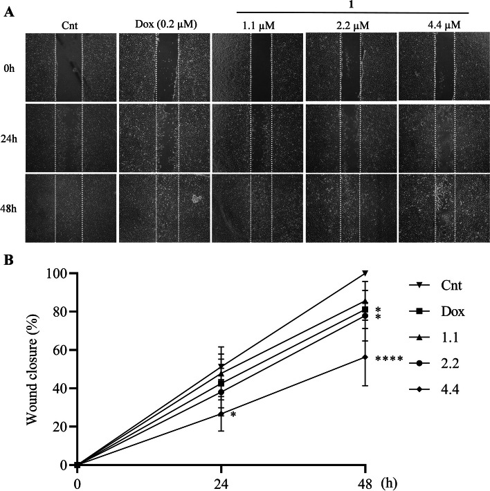 Fig. 6