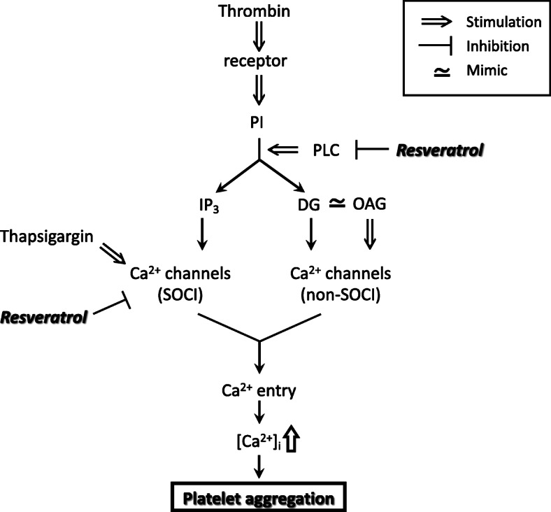 Fig. 3 