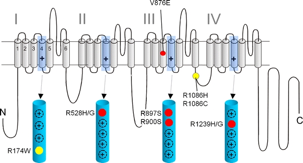 Fig. 1