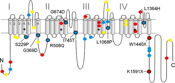 Fig. 3