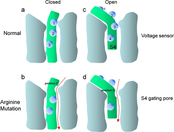 Fig. 2