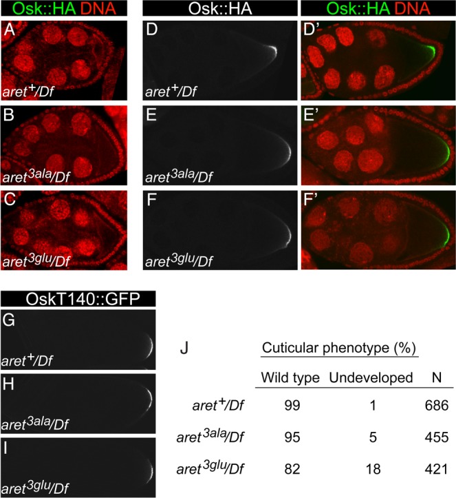 Fig 8