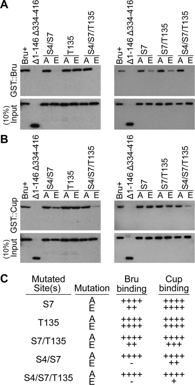 Fig 4