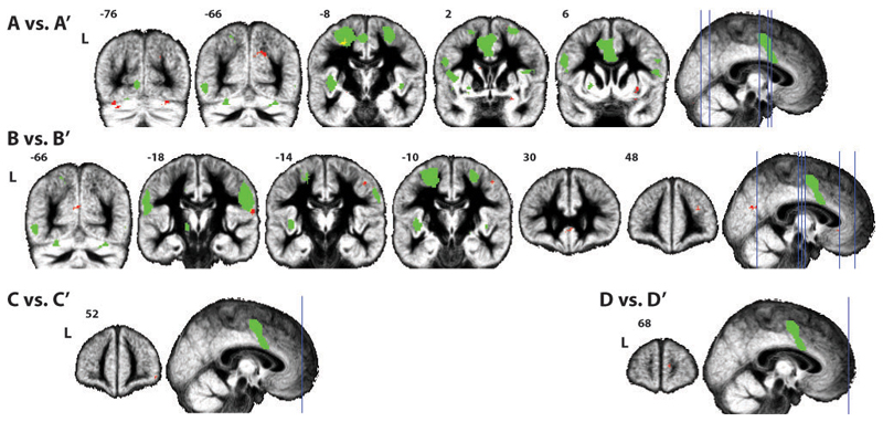 Figure 3.3