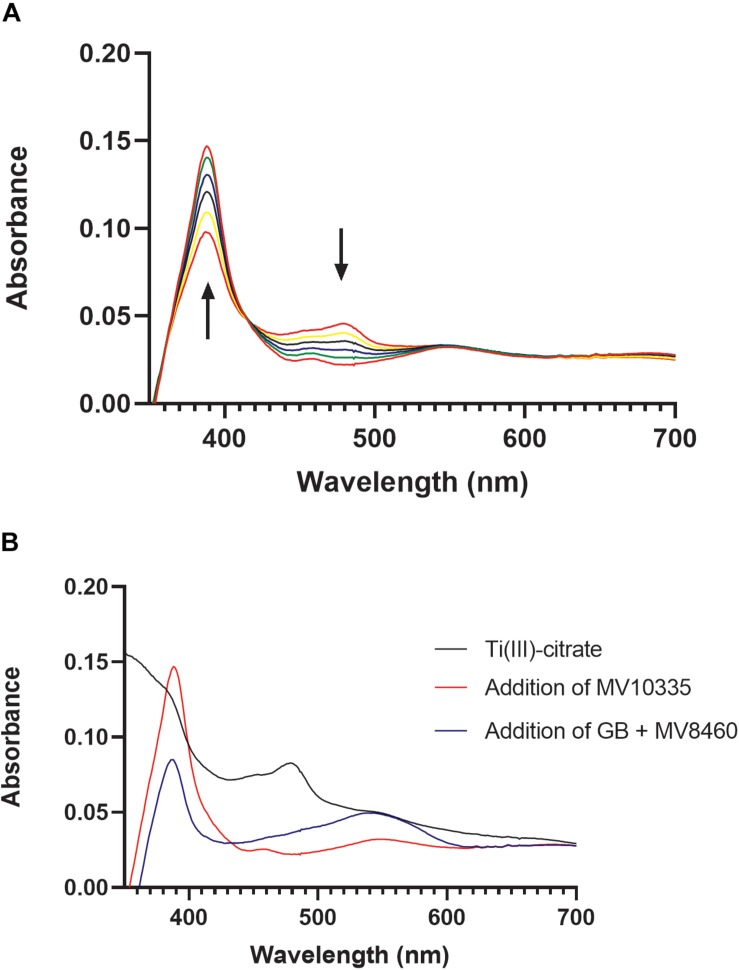 FIGURE 6