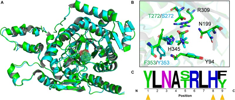 FIGURE 4