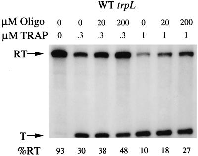 FIG. 5