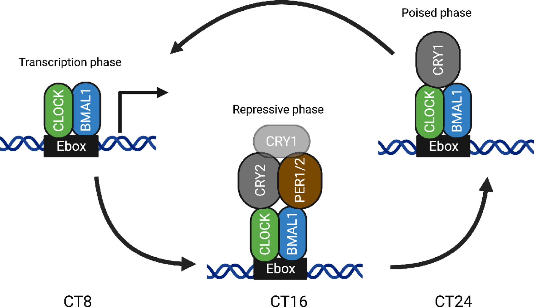 Figure 2.