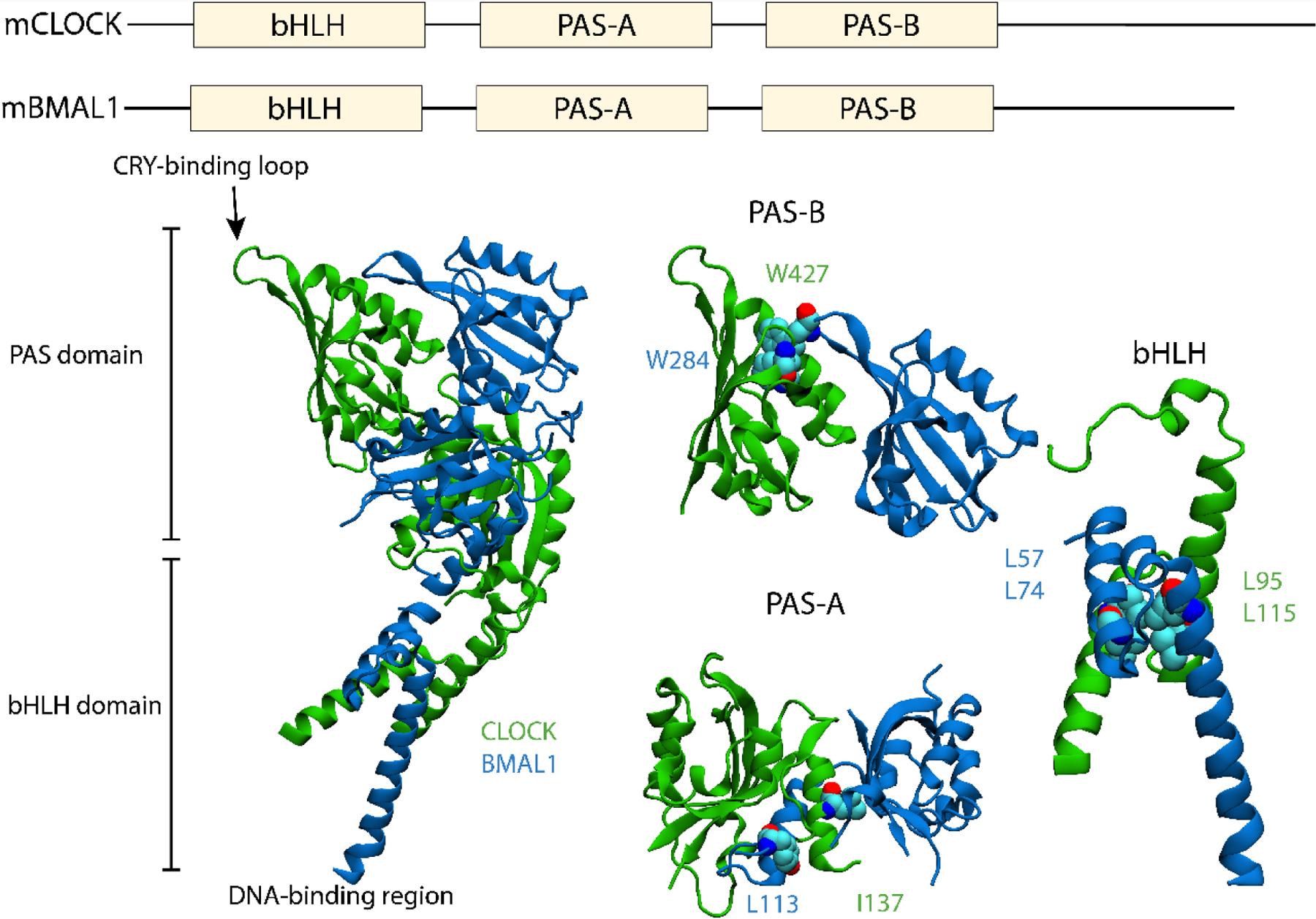 Figure 4.