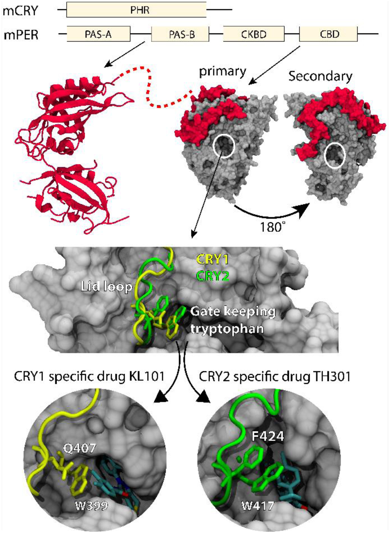 Figure 5.