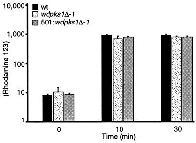 FIG. 8