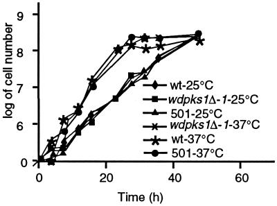 FIG. 6