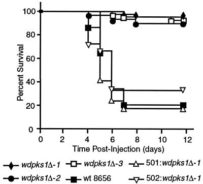 FIG. 10