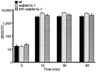 FIG. 7