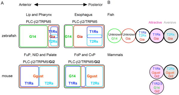 Fig. 10