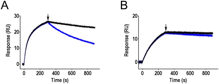 Fig 5