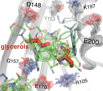 Figure 7—figure supplement 2.