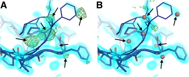 Figure 2—figure supplement 2.