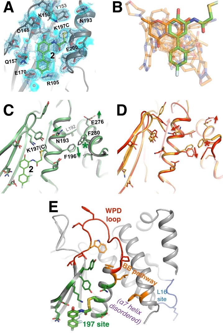 Figure 9.