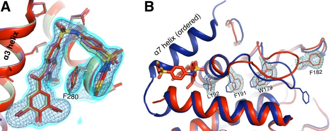 Figure 3—figure supplement 2.