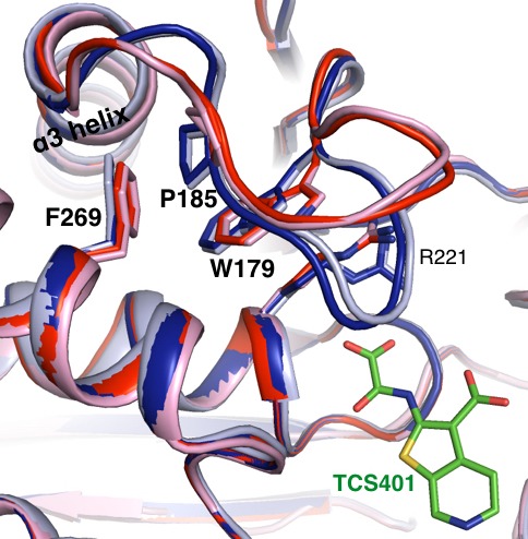 Figure 3—figure supplement 1.