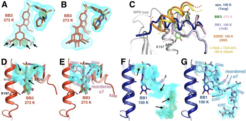 Figure 3—figure supplement 3.