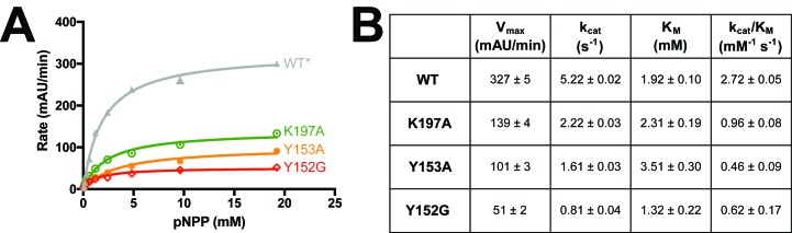 Figure 5—figure supplement 3.