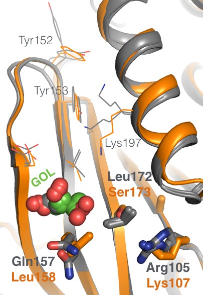 Figure 5—figure supplement 2.