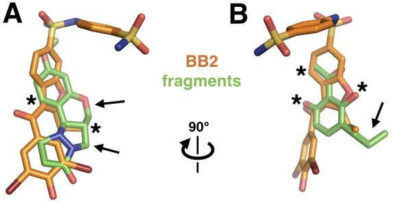 Figure 7—figure supplement 1.