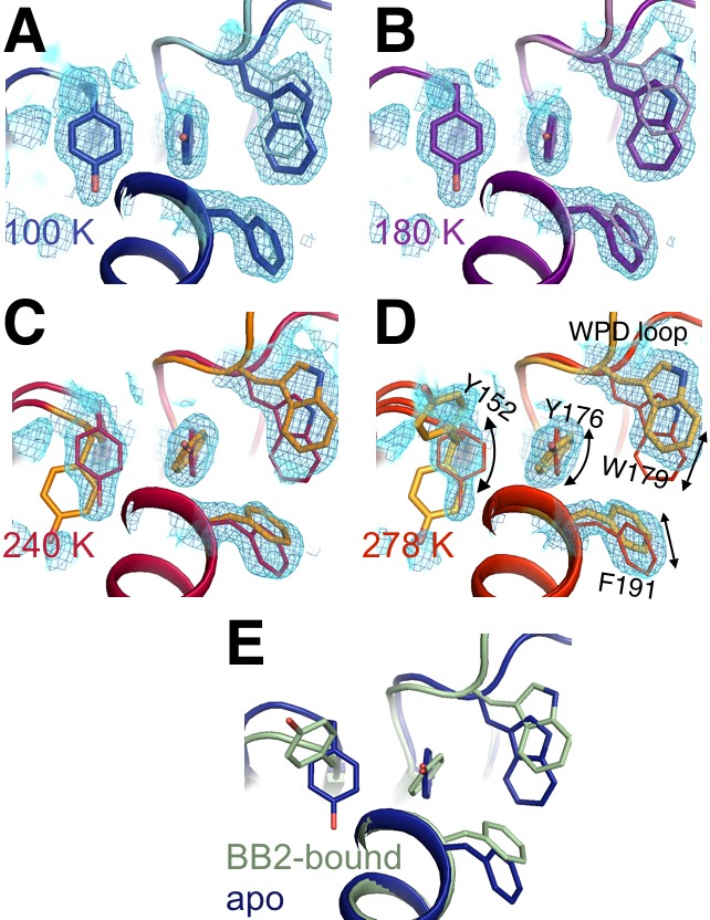 Figure 5—figure supplement 4.