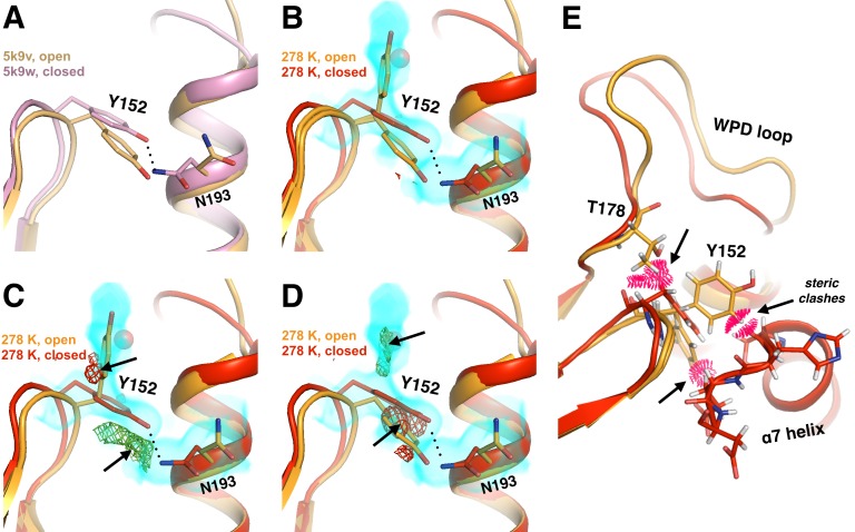 Figure 5—figure supplement 1.